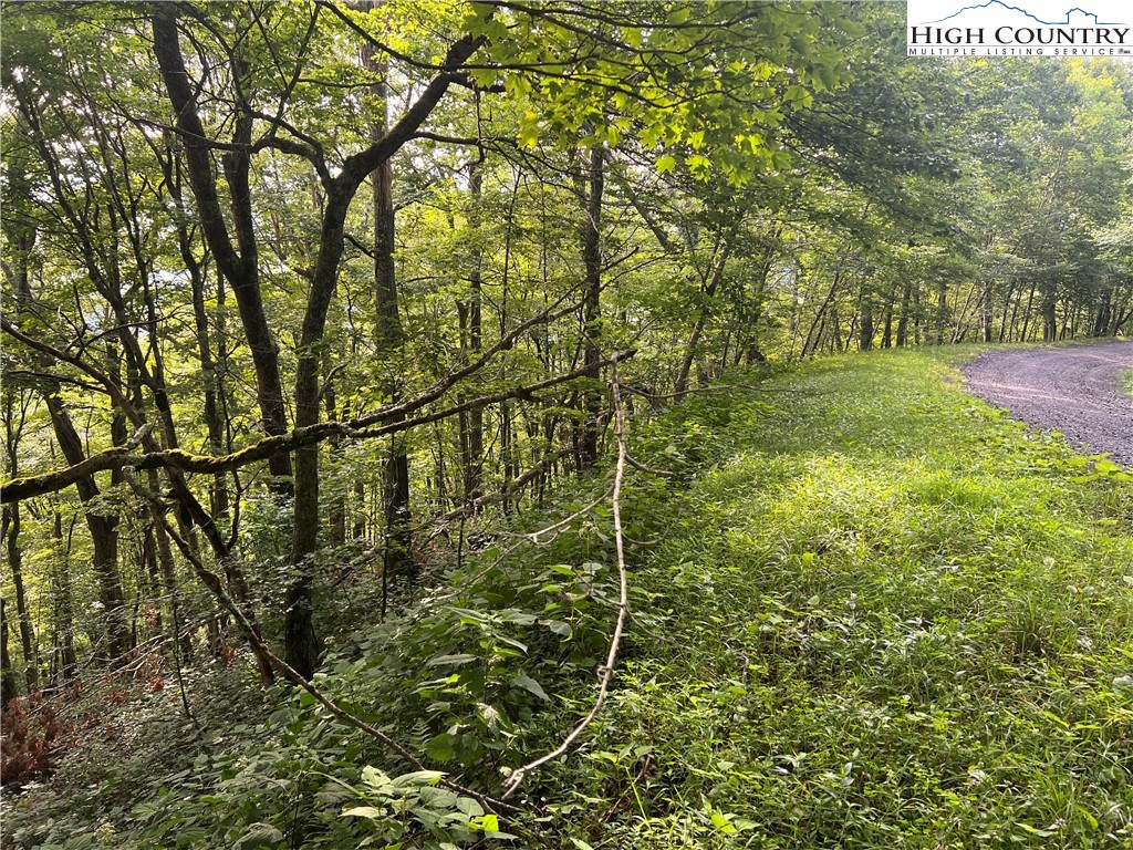 None Stony Fork Road West Jefferson, NC 28694 - Photo 3 of 3 a view of a yard