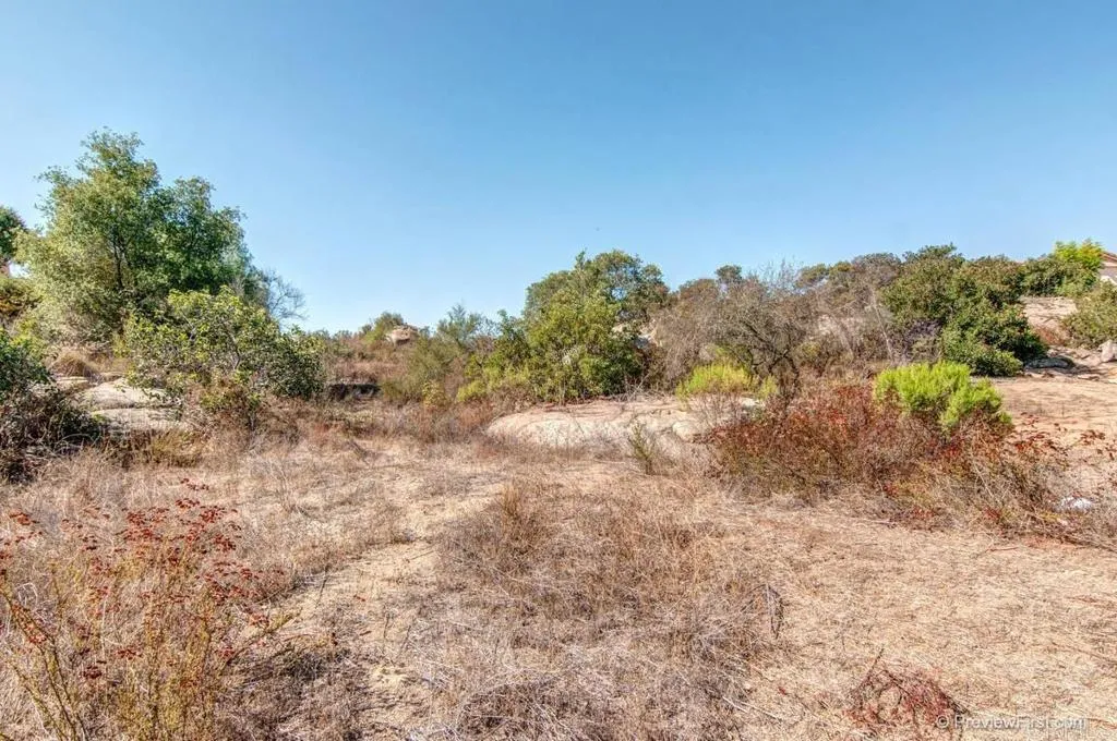 Crystal Ridge Escondido, CA 92026 - Photo 11 of 21 a view of a dry yard with trees