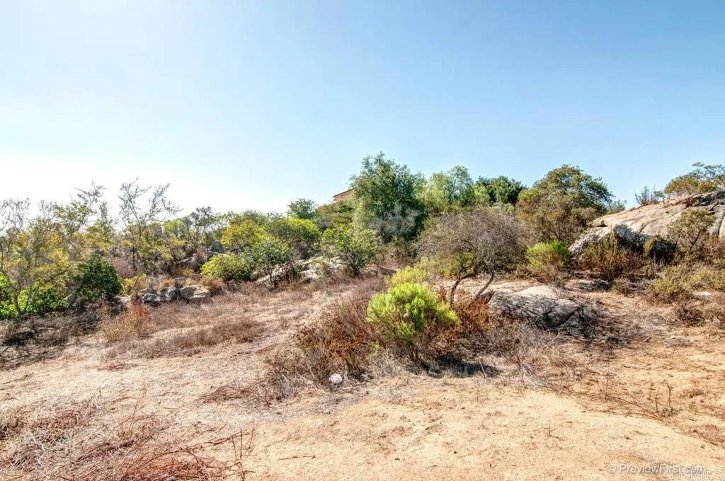 Crystal Ridge Escondido, CA 92026 - Photo 12 of 21 a view of a dry yard with trees