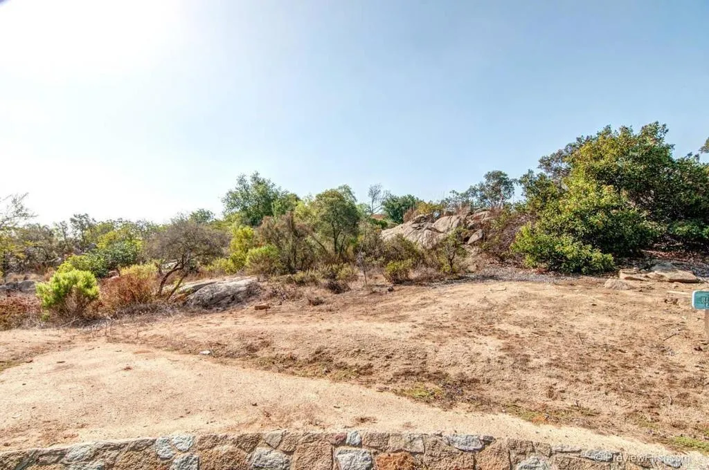 Crystal Ridge Escondido, CA 92026 - Photo 2 of 21 a view of a dry yard with trees in the background