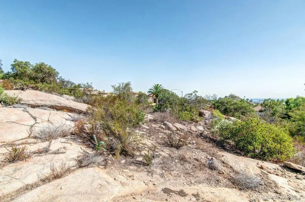 Crystal Ridge Escondido, CA 92026 - Photo 4 of 21 a view of a large yard with a tree