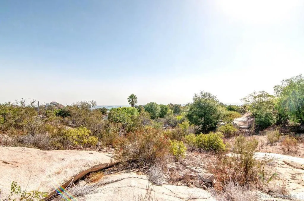 Crystal Ridge Escondido, CA 92026 - Photo 5 of 21 a view of a dry yard with trees