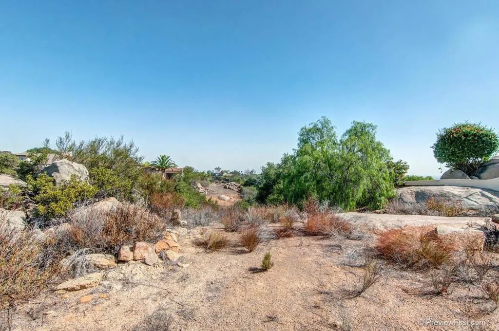 Crystal Ridge Escondido, CA 92026 - Photo 10 of 21 a view of a dry yard with trees