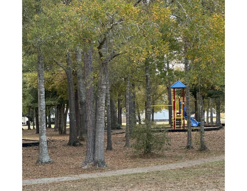 16323 Fawn Ridge Drive Conroe, TX 77302 - Photo 9 of 10