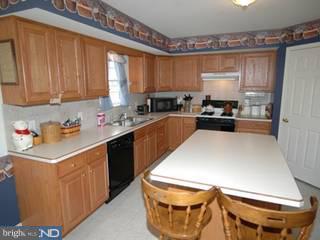 202 South Arthur Drive Sinking Spring, PA 19608 - Photo 2 of 6 Gallery Image 2