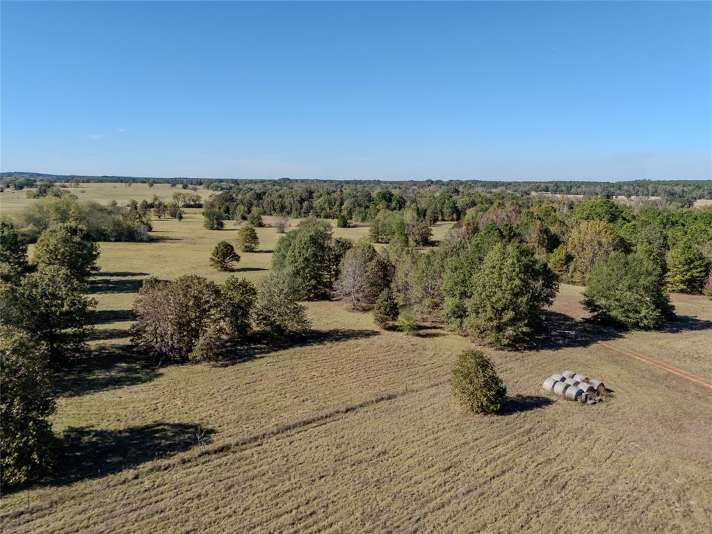 2895 County Road 118 Overton, TX 75684 - Photo 29 of 40