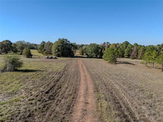 a view of a field with a mountain in the background