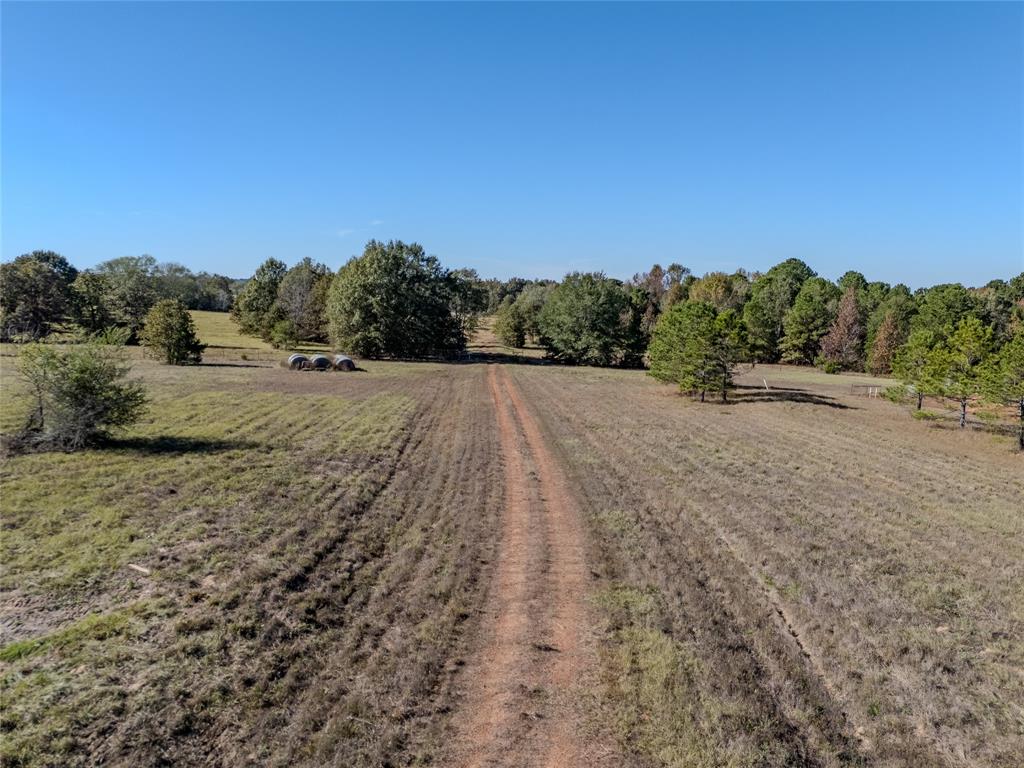 2895 County Road 118 Overton, TX 75684 - Photo 31 of 40 a view of an outdoor space and a yard