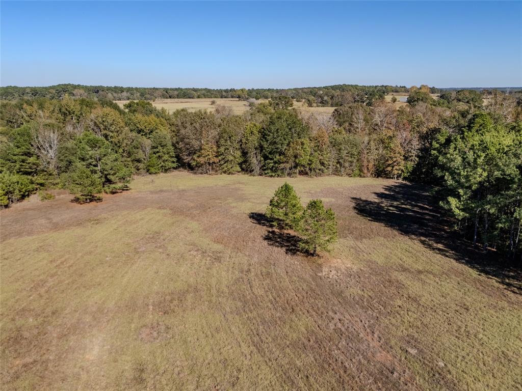 2895 County Road 118 Overton, TX 75684 - Photo 32 of 40 a view of a field with a mountain in the background