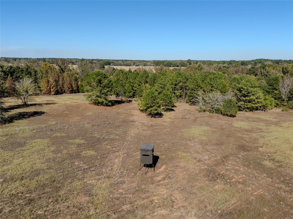 2895 County Road 118 Overton, TX 75684 - Photo 36 of 40 an empty room with mountain view