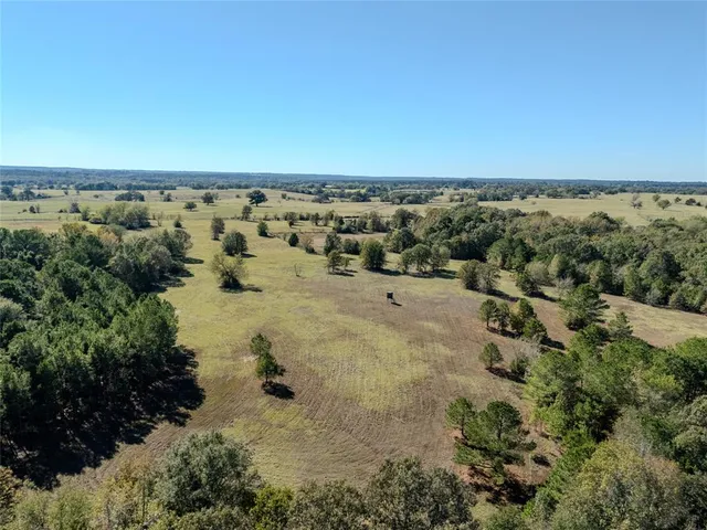 an aerial view of a houses with a yard