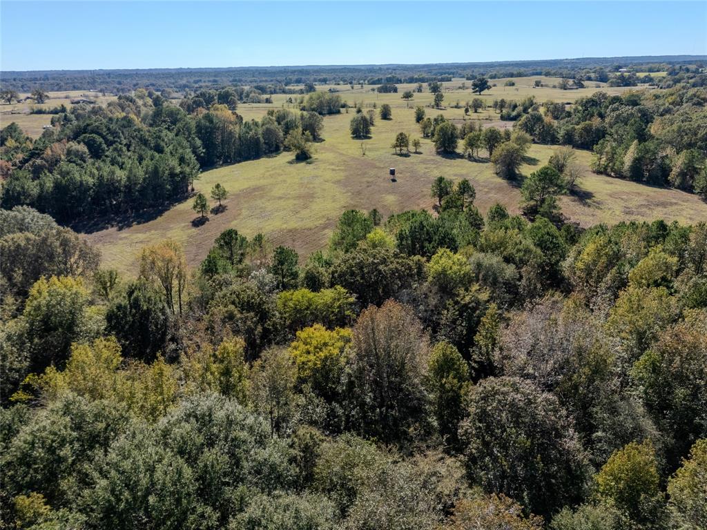 2895 County Road 118 Overton, TX 75684 - Photo 40 of 40 an aerial view of a houses with a yard