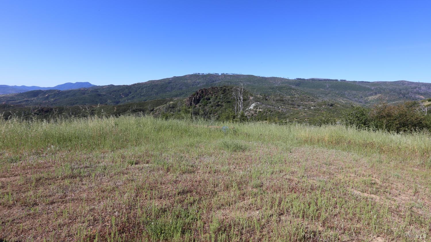14130 Big Canyon Road Middletown, CA 95461 - Photo 26 of 62