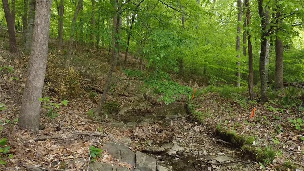 Lot 35 Fox Ridge Road Asheboro, NC 27205 - Photo 13 of 14 Gallery Image 13