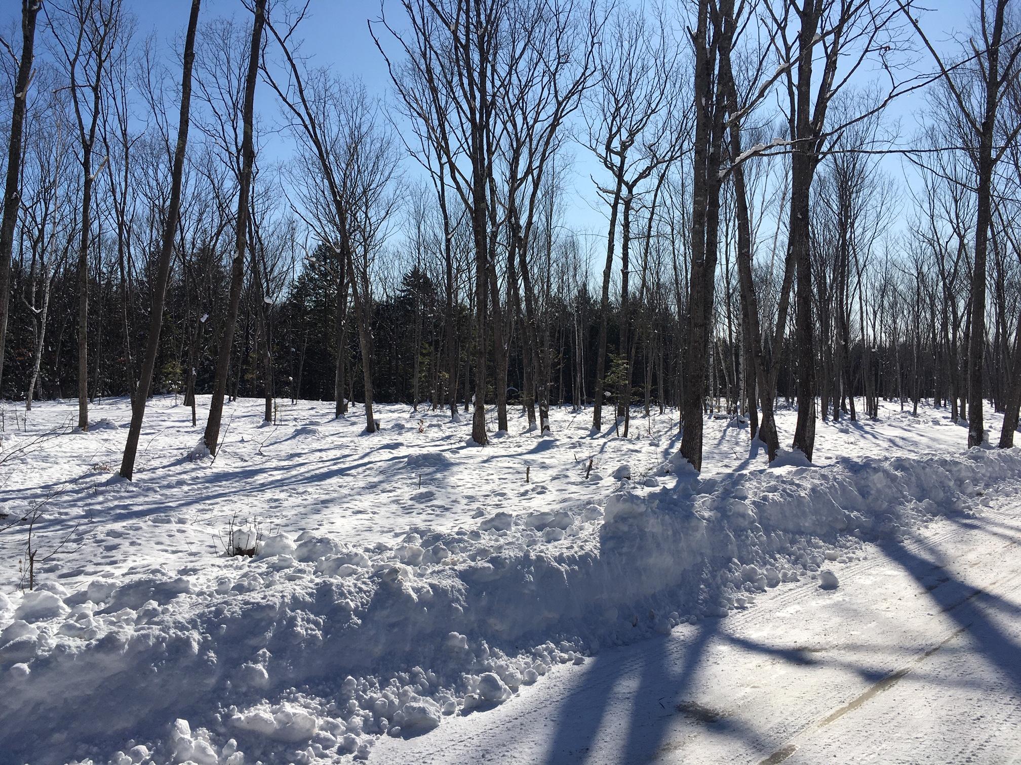 480 Greely Road Extension Cumberland, ME 04021 - Photo 5 of 5 IMG_7330