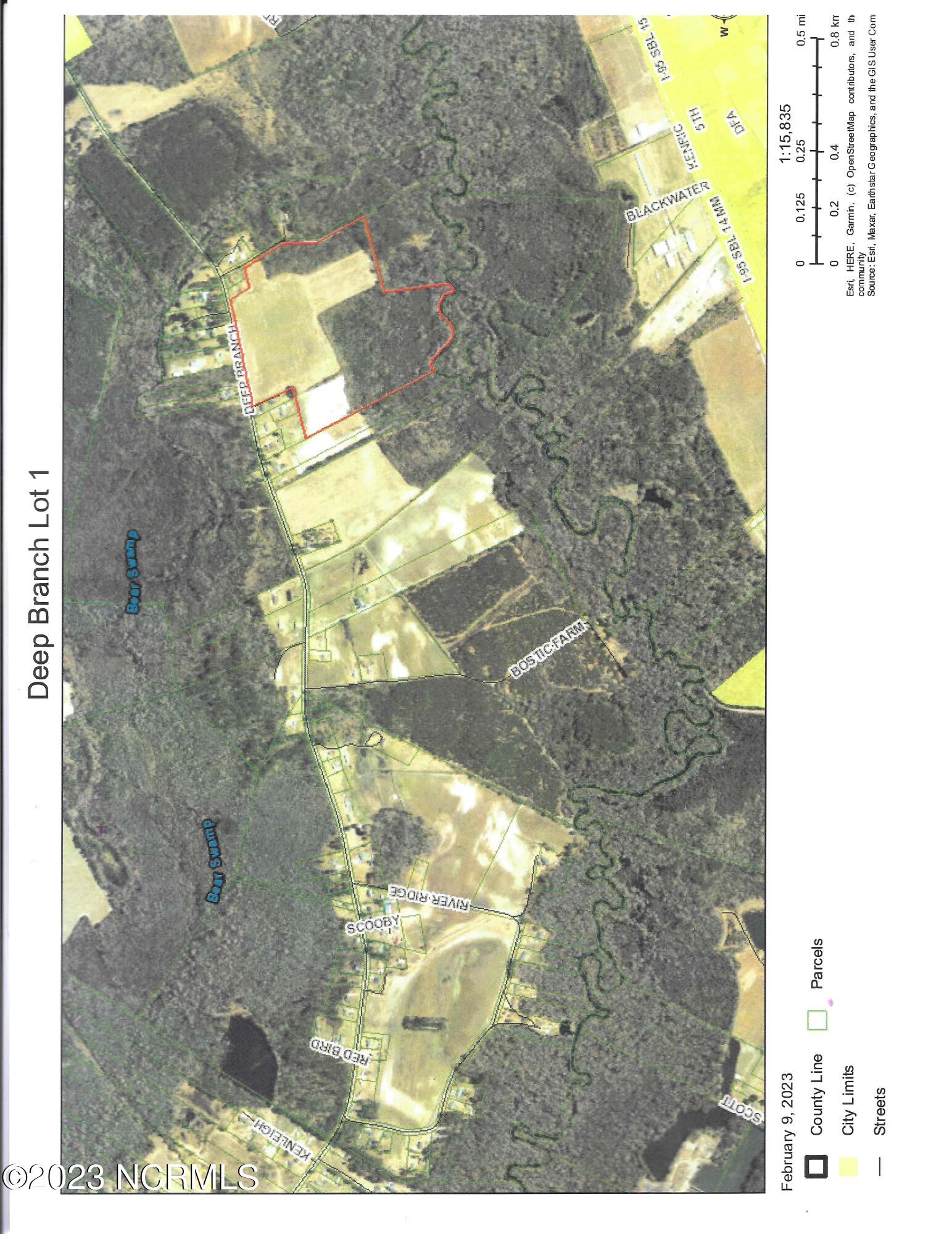 1 Deep Branch Road Lumberton, NC 28360 - Photo 1 of 1 lot1deepbranch