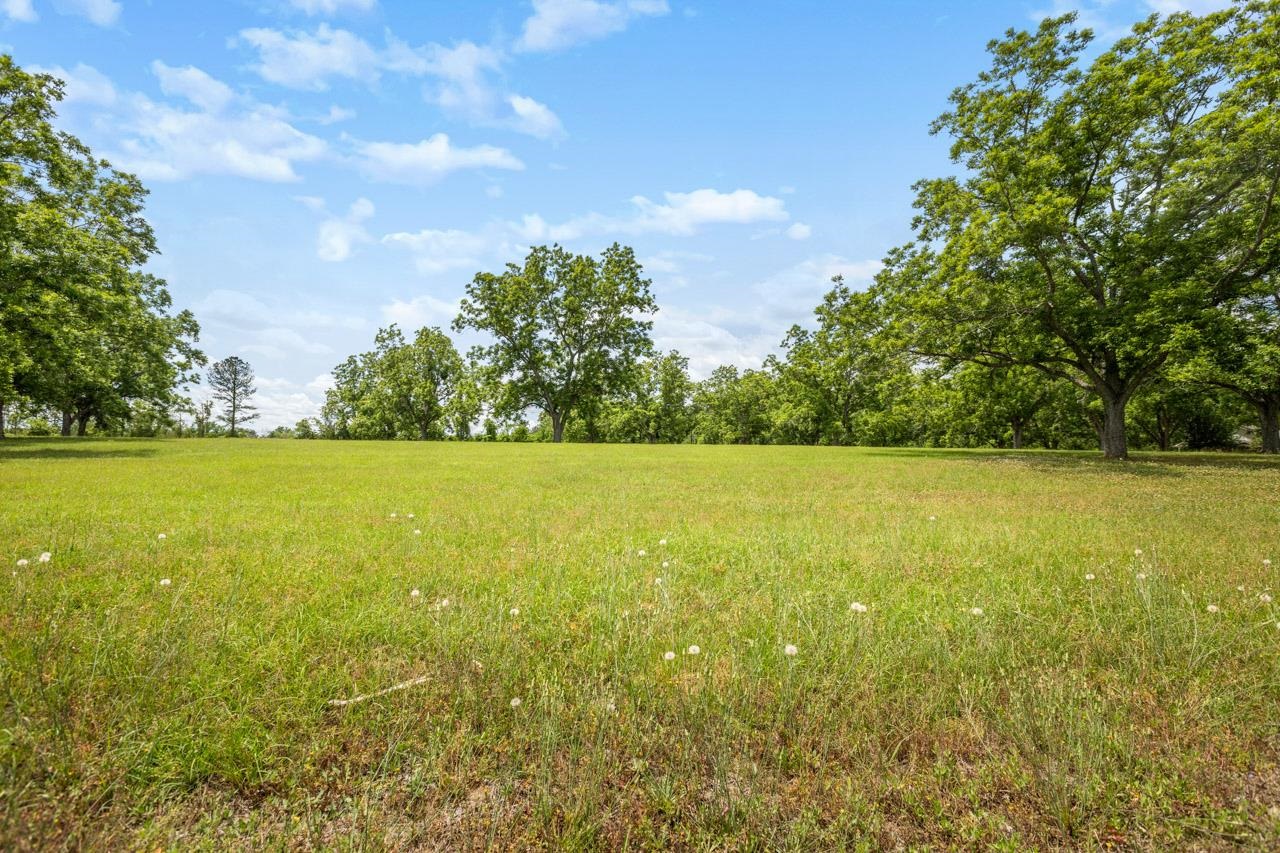 1590 Tyson Road Monticello, FL 32344 - Photo 49 of 56