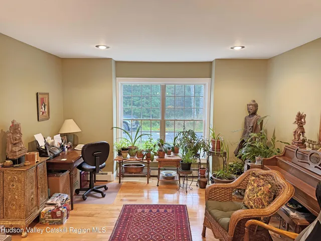 a living room with furniture a rug and a potted plant