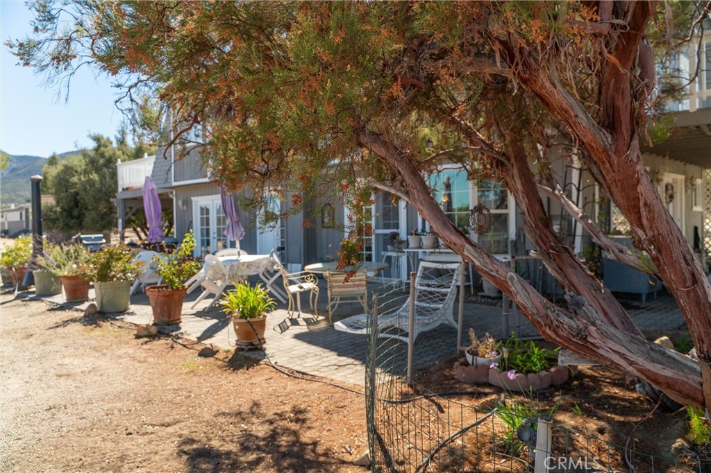 44451 Tule Fire Road Anza, CA 92539 - Photo 6 of 75 Gallery Image 6