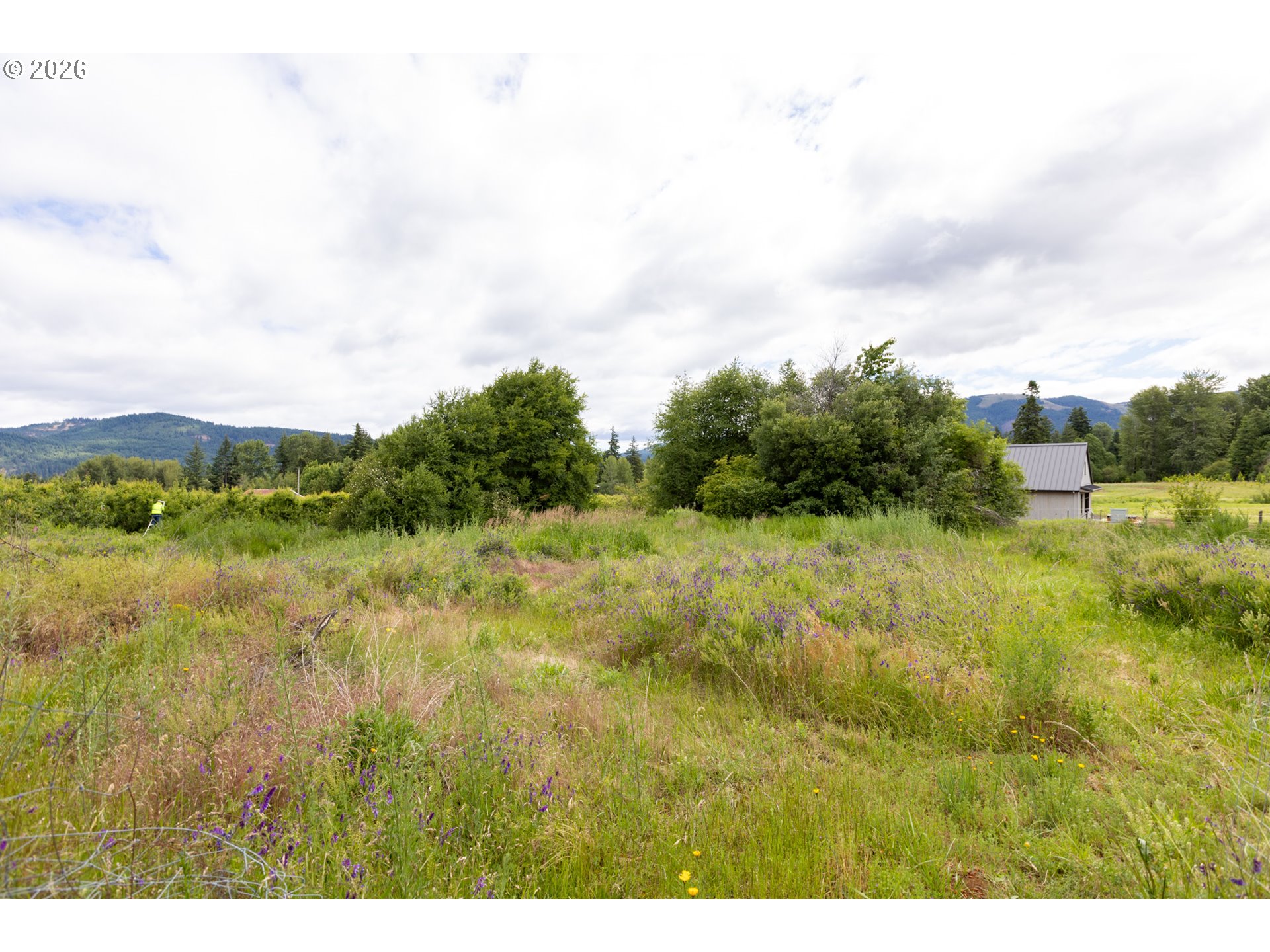 6455 Trout Creek Ridge Road Mount Hood Parkdale, OR 97041 - Photo 19 of 38