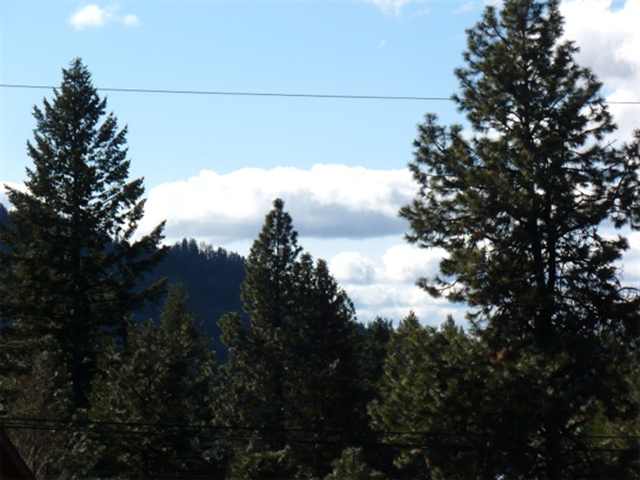 4588 Terrace Road Loon Lake, WA 99148 - Photo 9 of 9 Gallery Image 9