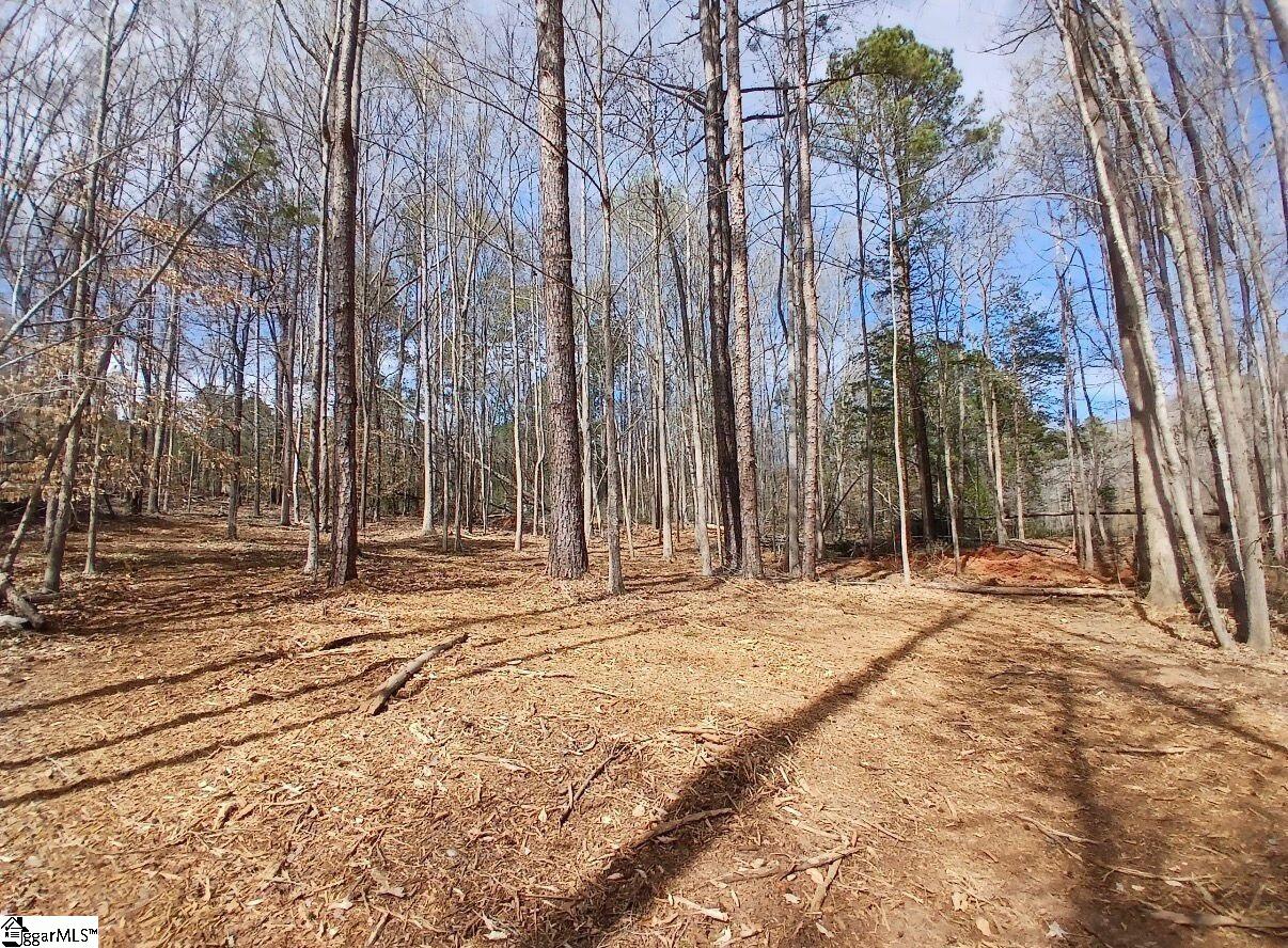 795 Powers Road Laurens, SC 29360 - Photo 2 of 6