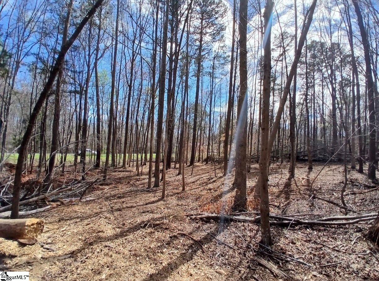 795 Powers Road Laurens, SC 29360 - Photo 3 of 6