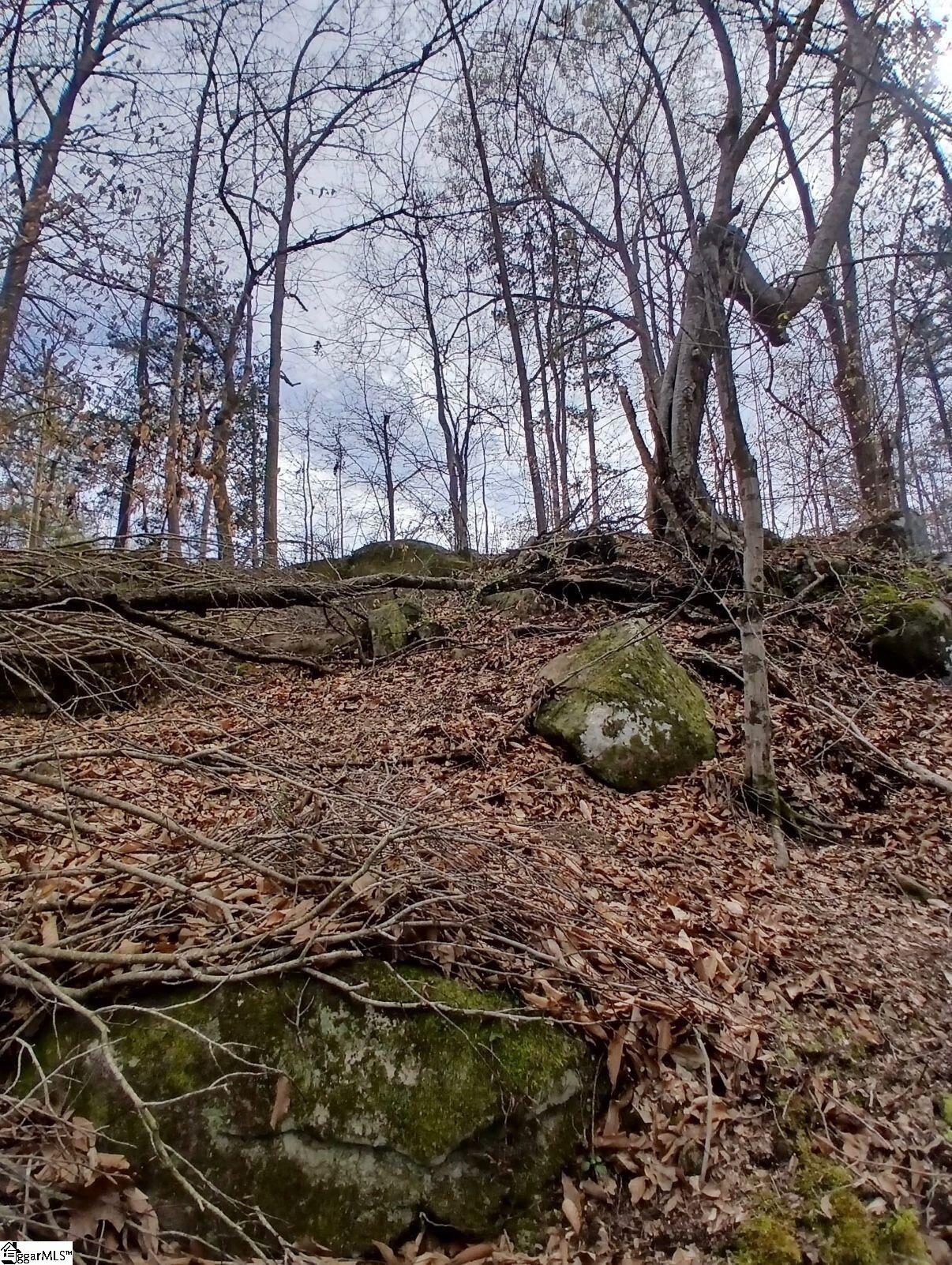 795 Powers Road Laurens, SC 29360 - Photo 5 of 6