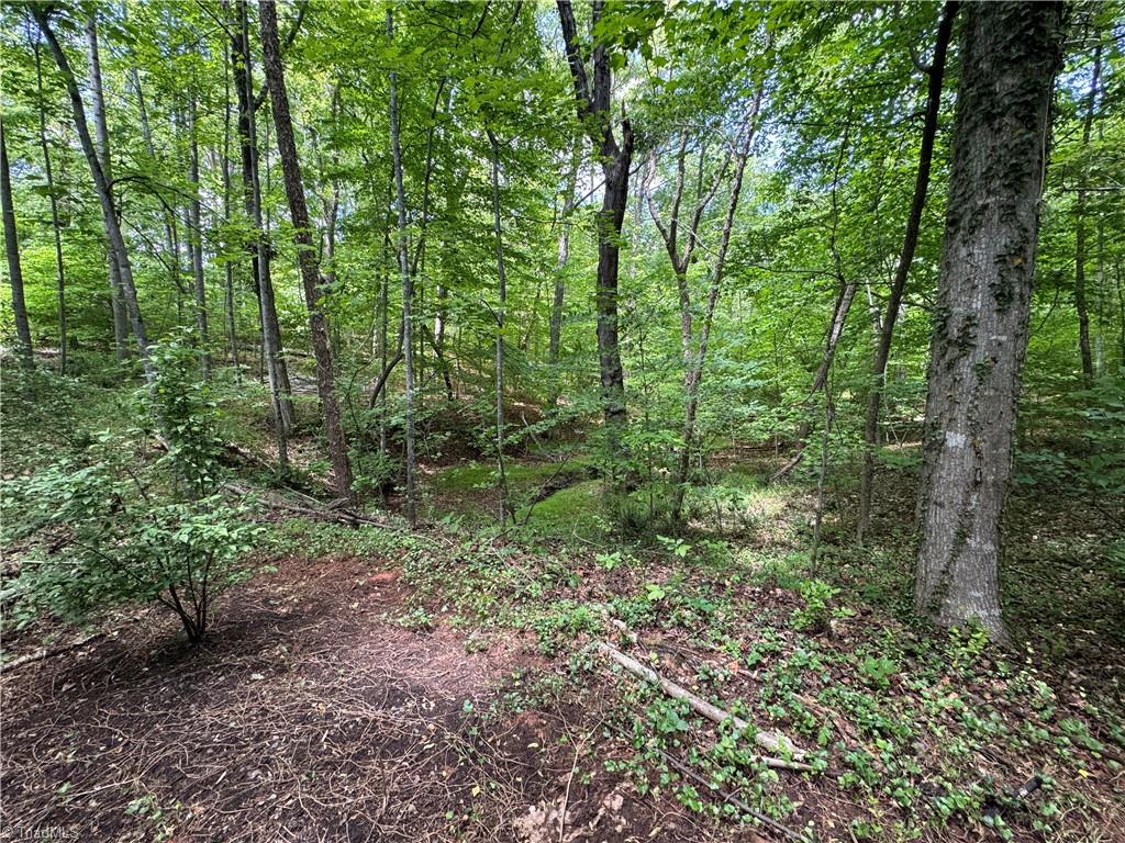 5504 Folkstone Road Pfafftown, NC 27040 - Photo 5 of 12 View from wooded area
