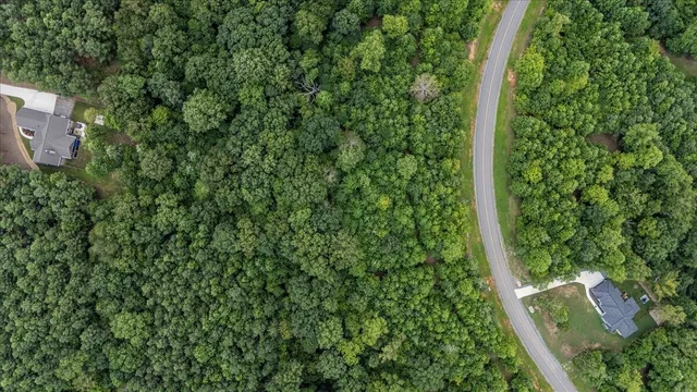a view of a yard with plants