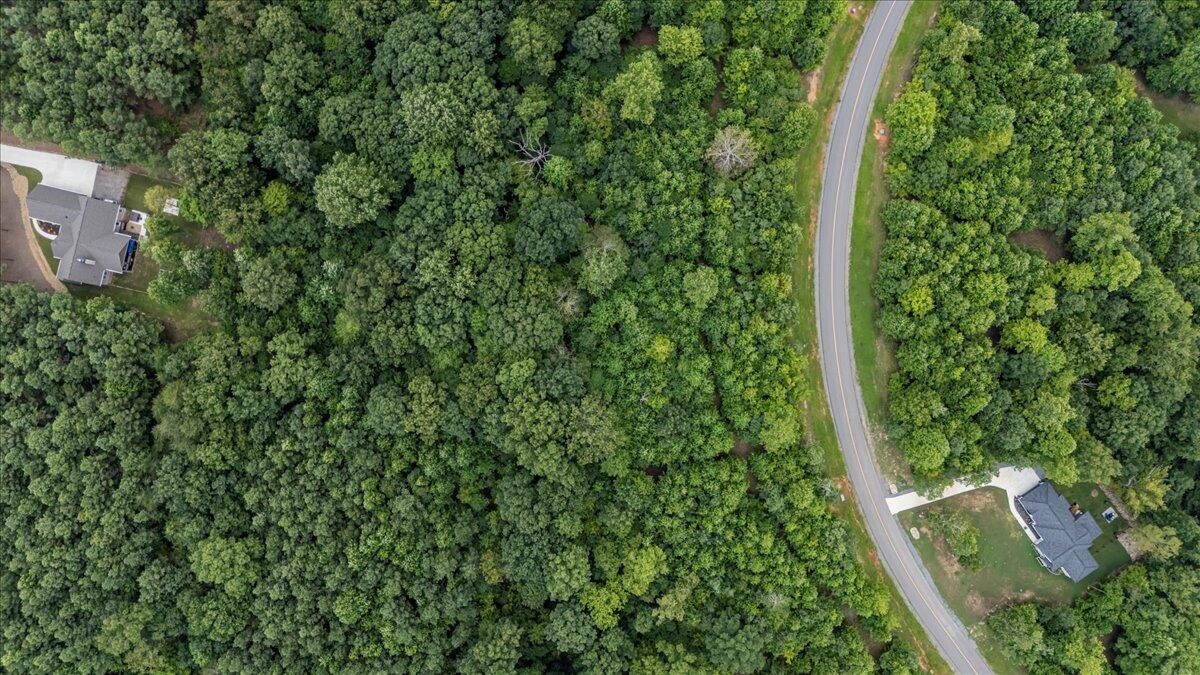 200 Whiskey Way Jasper, TN 37347 - Photo 11 of 18 a view of a yard with plants
