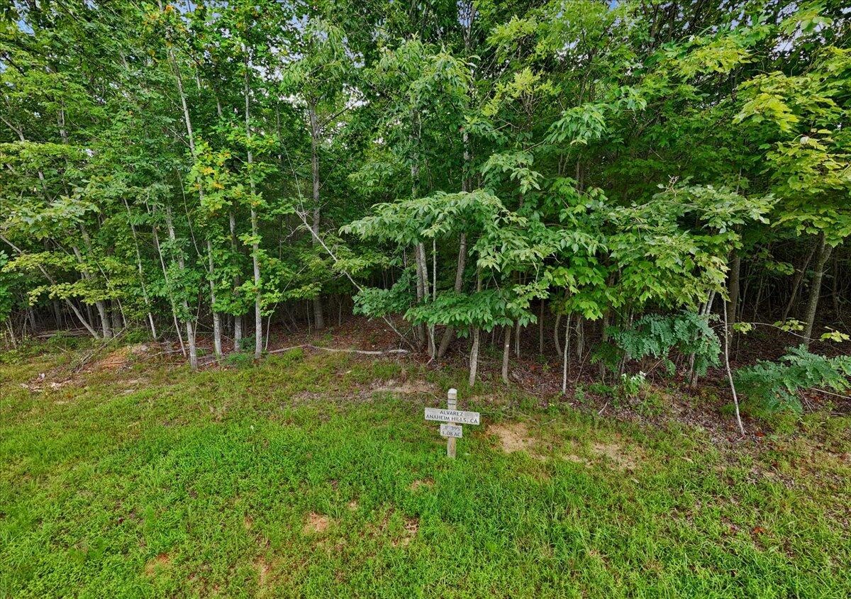 200 Whiskey Way Jasper, TN 37347 - Photo 4 of 18 a view of a lush green forest with lots of trees