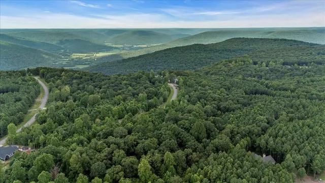 a view of a field with an ocean