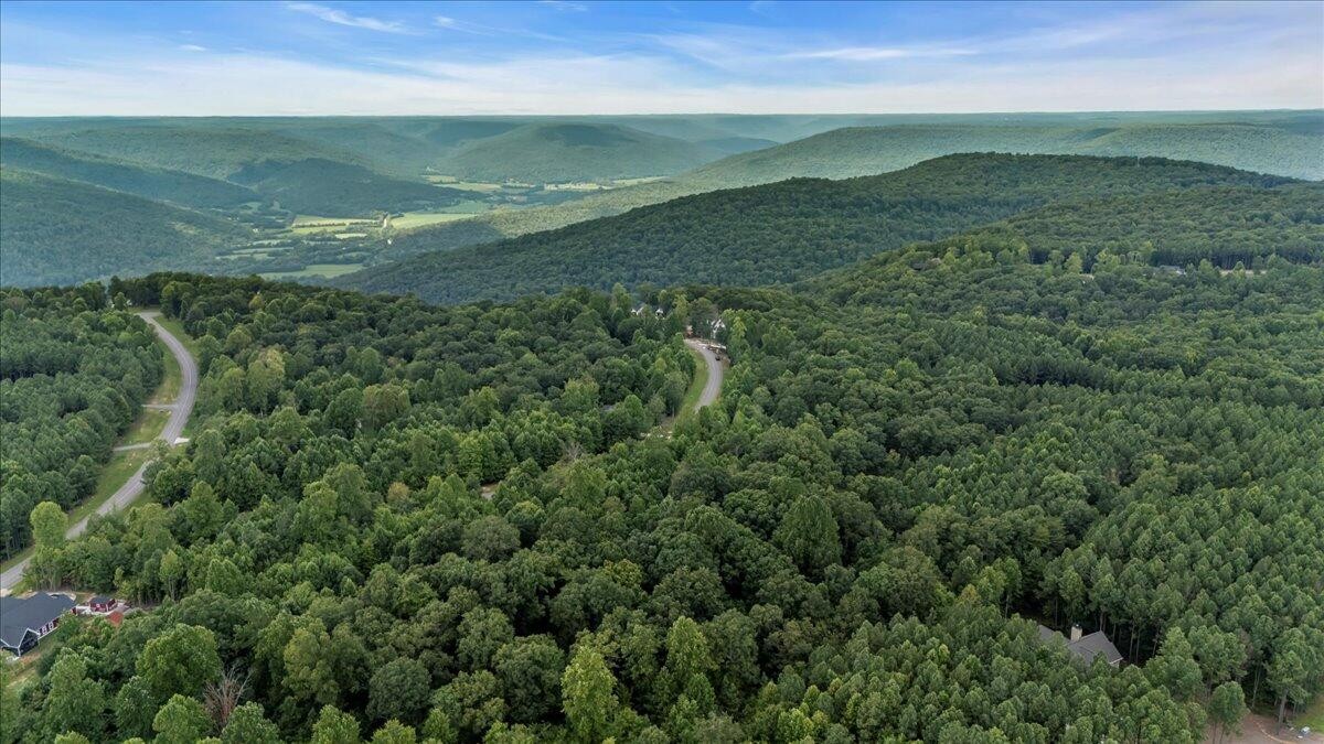 200 Whiskey Way Jasper, TN 37347 - Photo 8 of 18 a view of a field with an ocean
