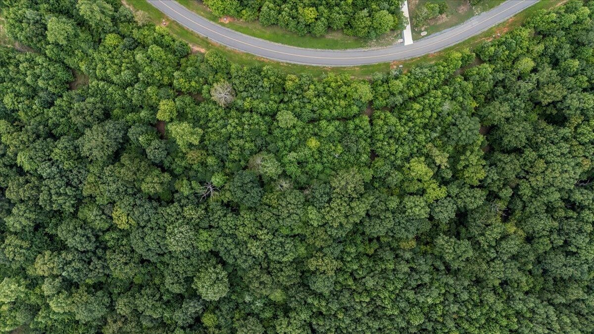 200 Whiskey Way Jasper, TN 37347 - Photo 10 of 18 a view of a garden