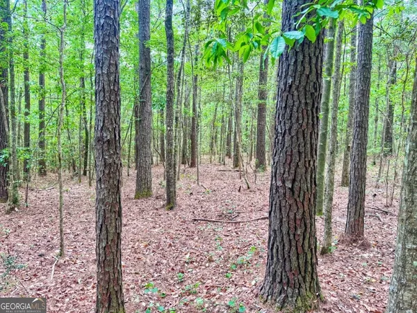 $913,000 | 0 Jackson Landing Road, Picayune, MS 39466