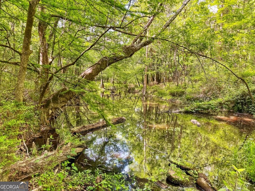 0 Jackson Landing Road Picayune, MS 39466 - Photo 4 of 5