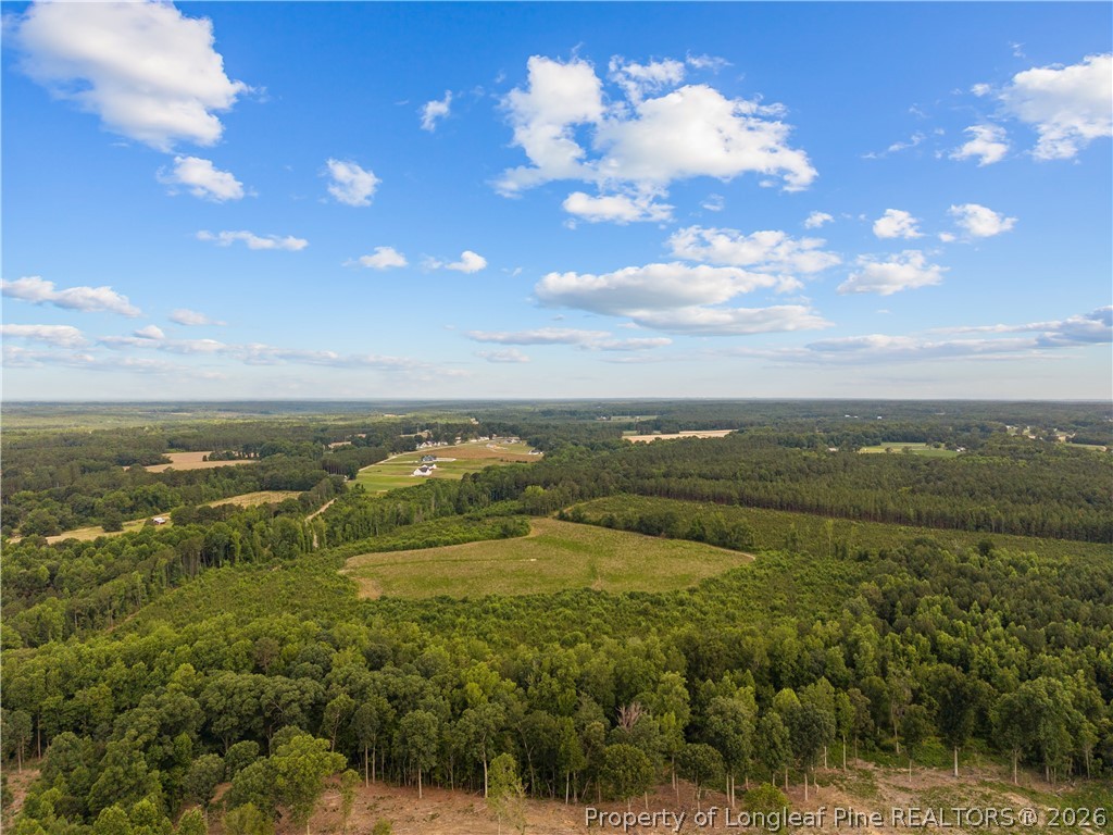 Leaflet Church Road Lillington, NC 27546 - Photo 7 of 20