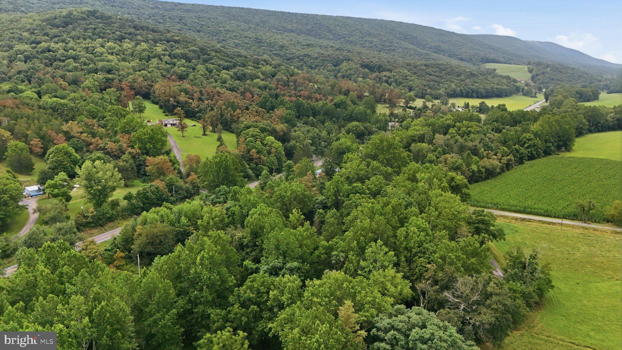 Laurel Dale Road New Creek, WV 26743 - Photo 14 of 17 Gallery Image 14