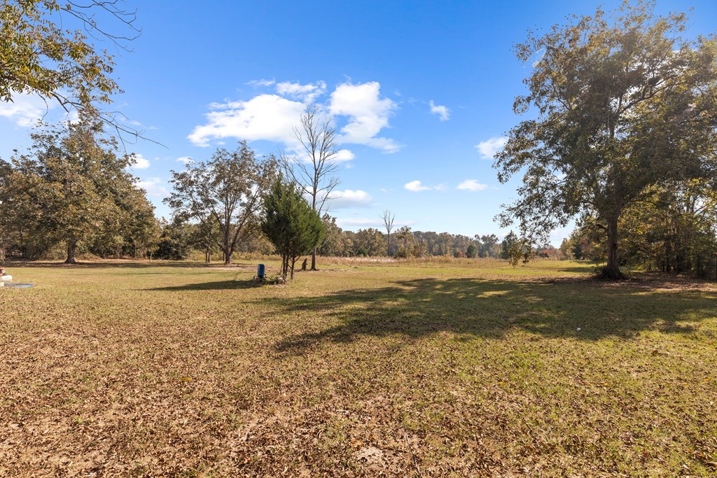 144 Meadows Road Ashford, AL 36312 - Photo 3 of 31