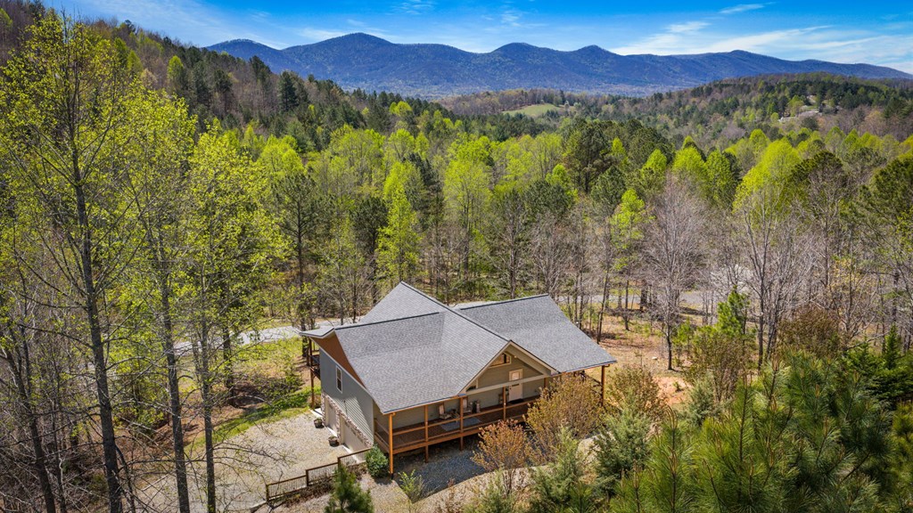 539 Summer Cove Road Blairsville, GA 30512 - Photo 2 of 52