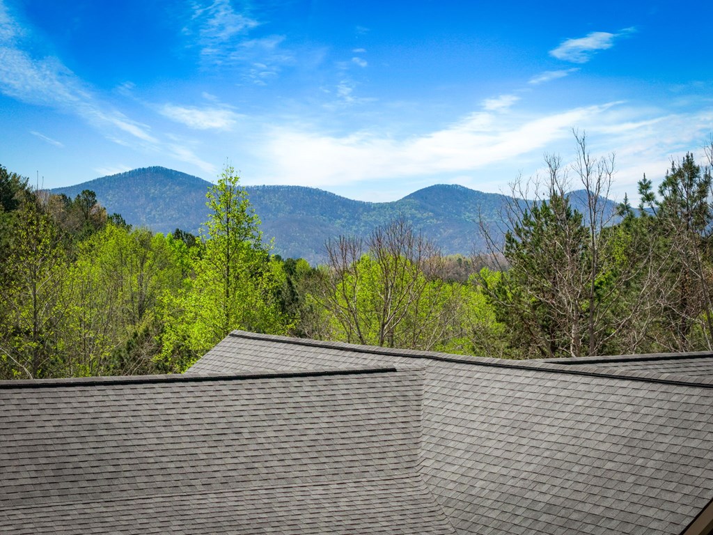 539 Summer Cove Road Blairsville, GA 30512 - Photo 47 of 52