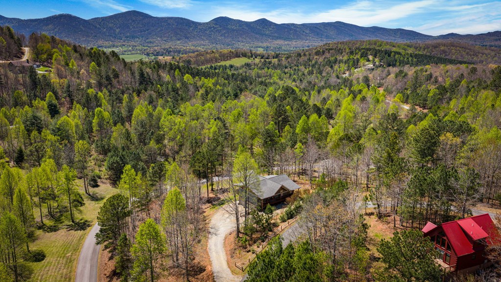 539 Summer Cove Road Blairsville, GA 30512 - Photo 52 of 52
