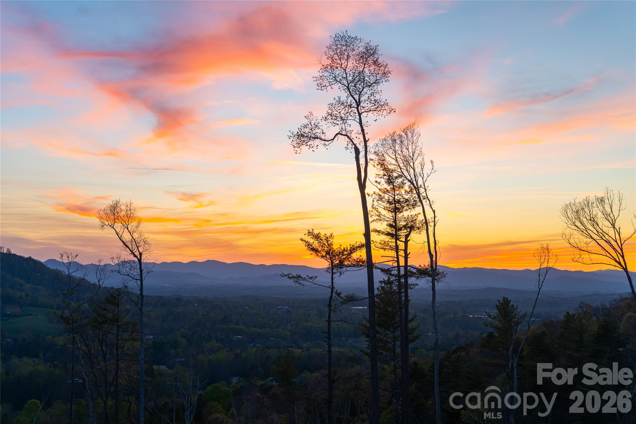 170 Bear Vw Road Weaverville, NC 28787 - Photo 46 of 48