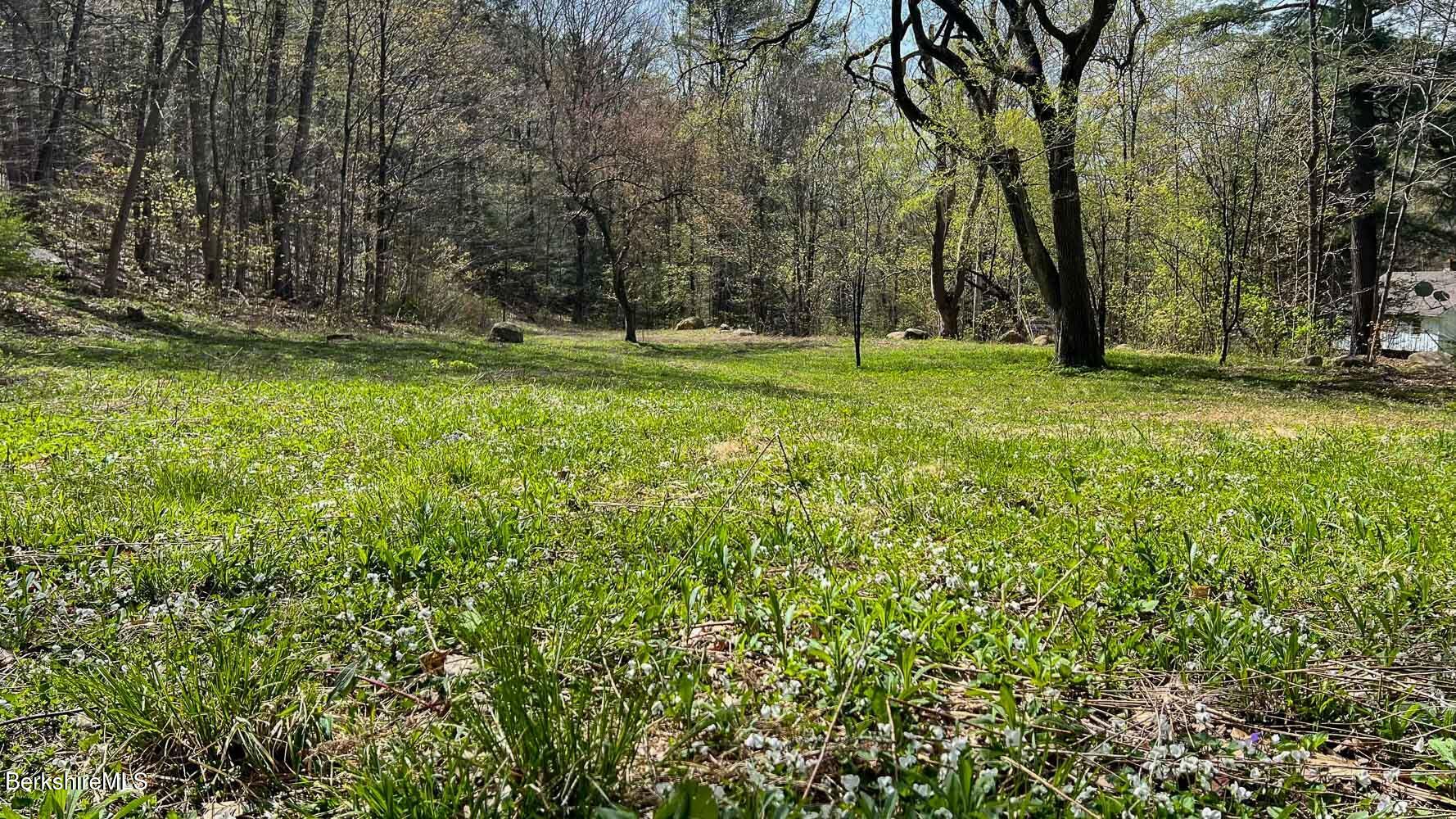 0 River Road Monterey, MA 01245 - Photo 3 of 14 0 River Rd-7