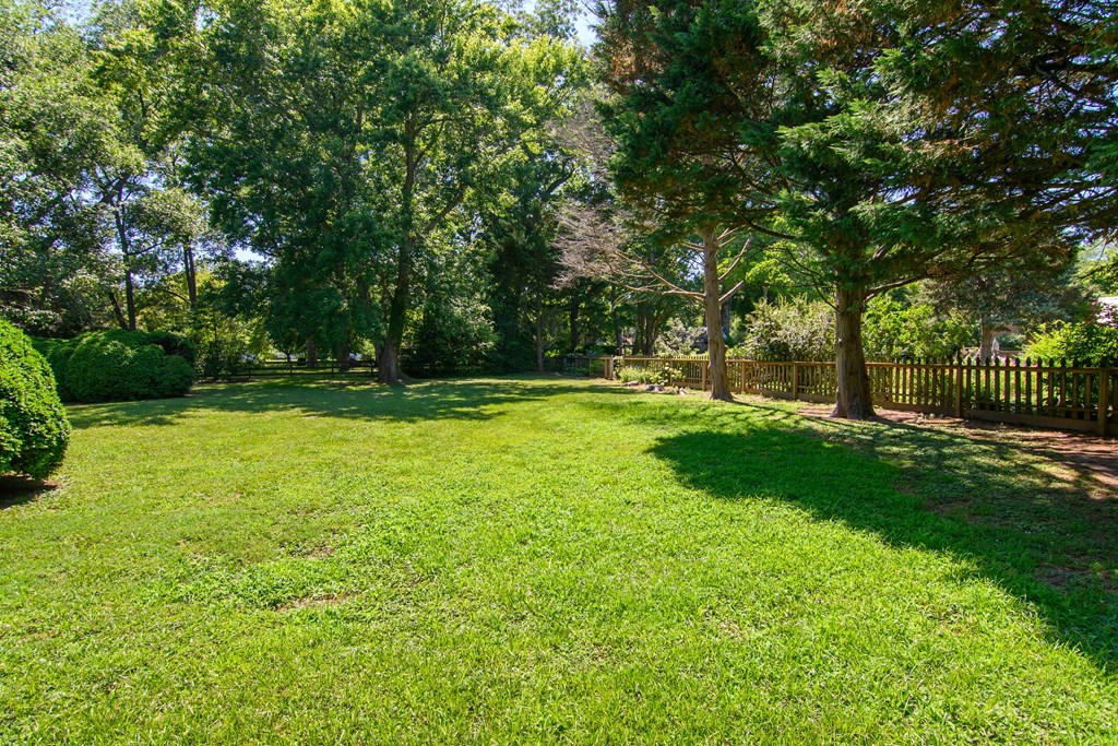 23347 Back Street Accomac, VA 23301 - Photo 4 of 44 Backyard