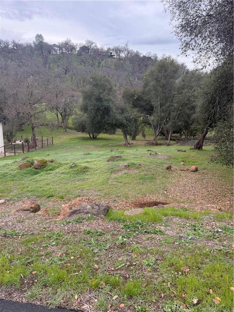 a view of a field with an trees