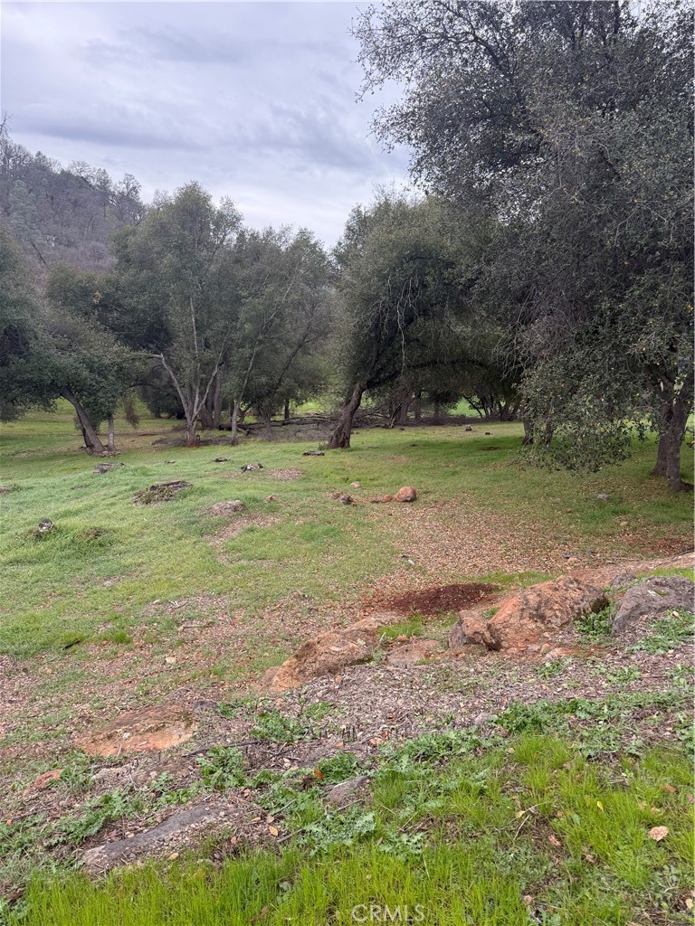 20185 Powder Horn Road Hidden Valley Lake, CA 95467 - Photo 2 of 5 a view of outdoor space with trees all around