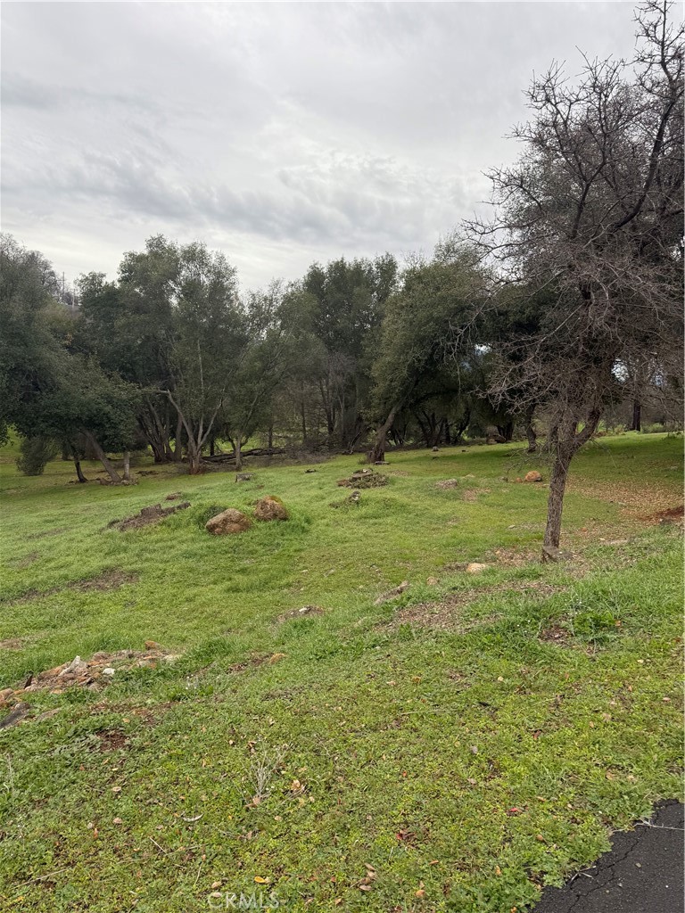 20185 Powder Horn Road Hidden Valley Lake, CA 95467 - Photo 3 of 5 a view of outdoor space with trees all around