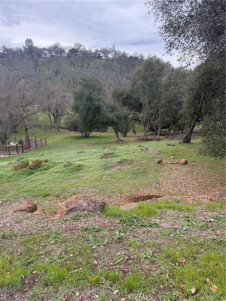 20185 Powder Horn Road Hidden Valley Lake, CA 95467 - Photo 4 of 5 a big yard with lots of green space and deers
